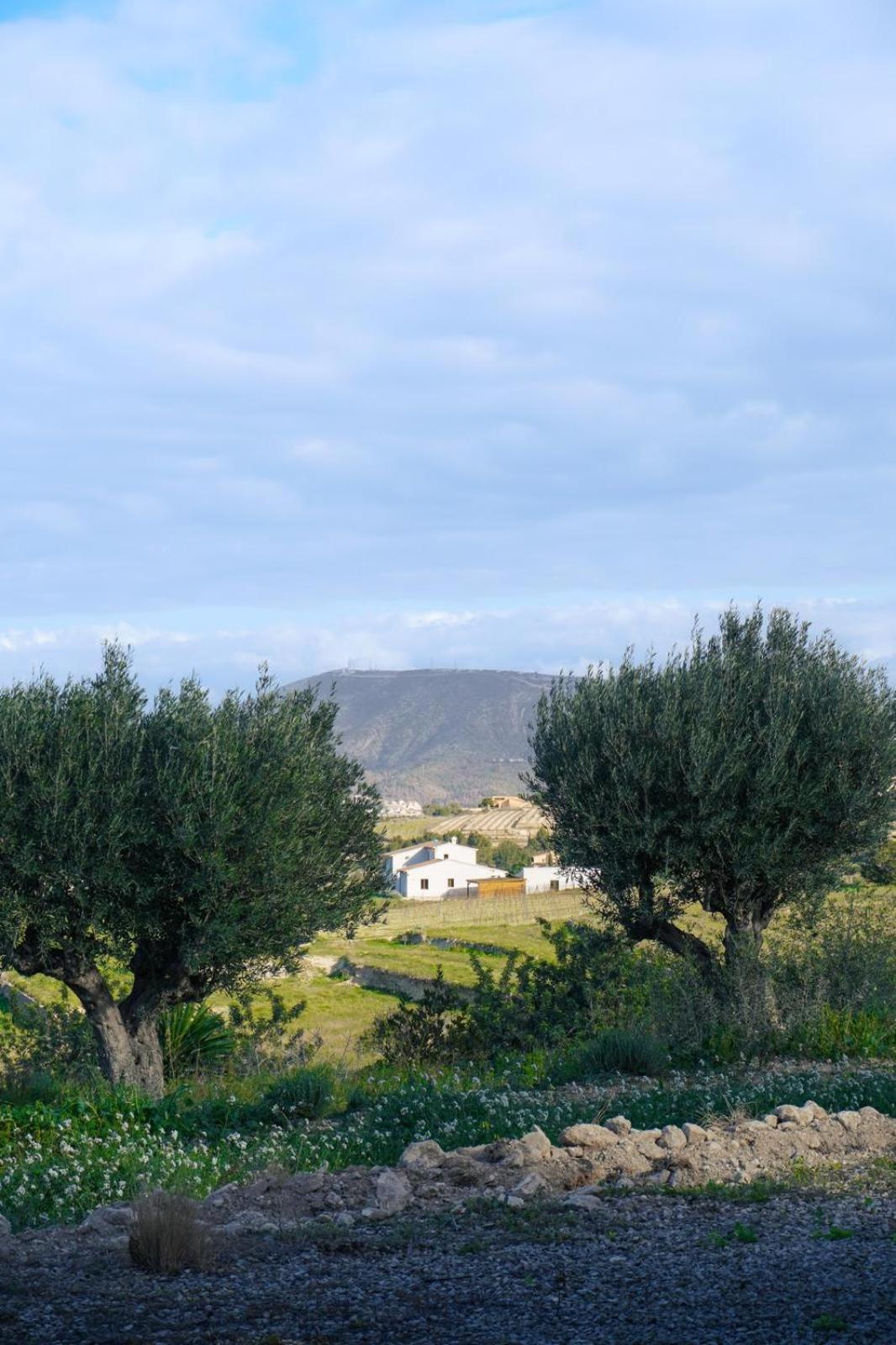 Hotel Finca Olivar Benissa Kültér fotó