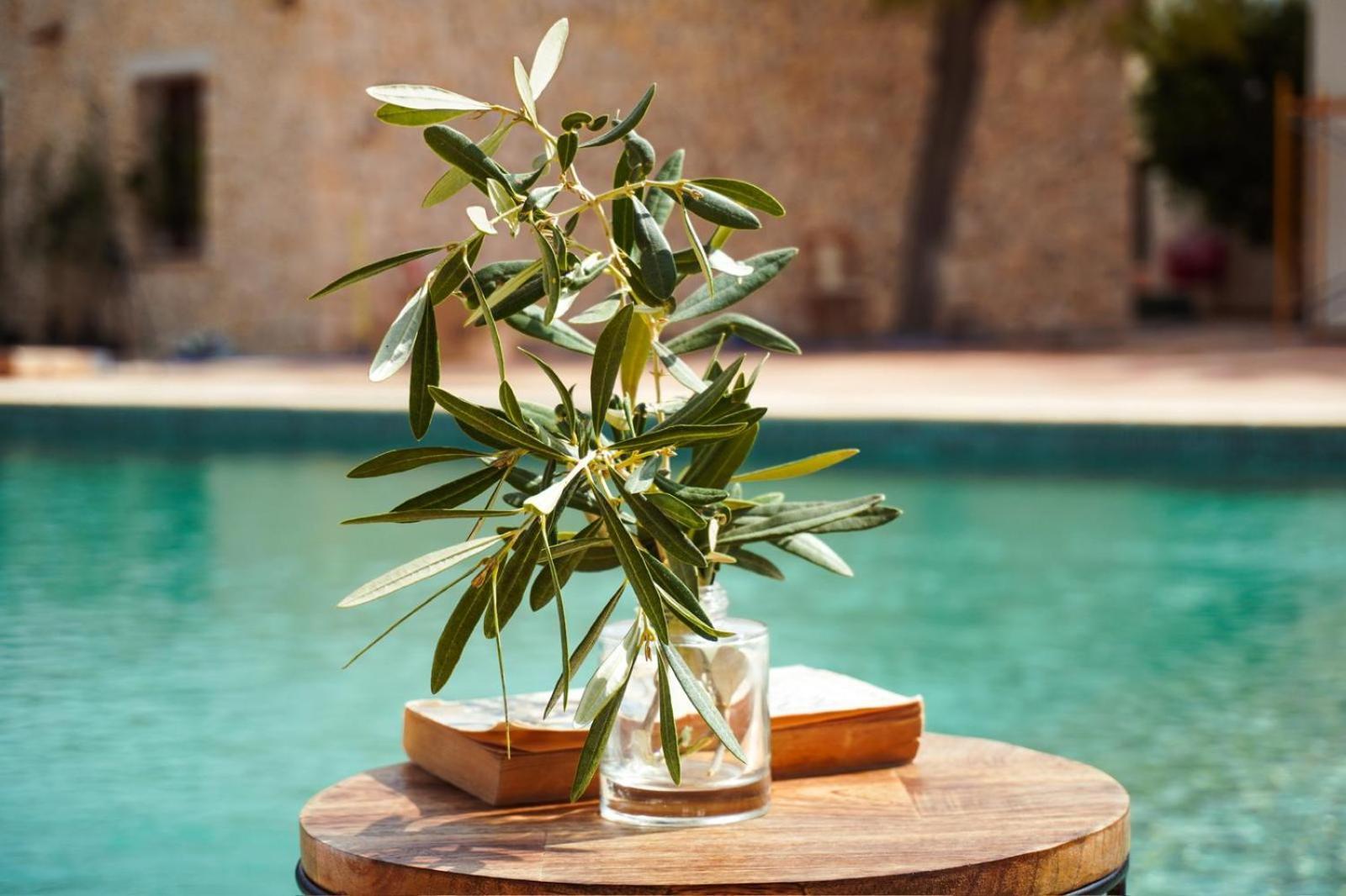 Hotel Finca Olivar Benissa Kültér fotó