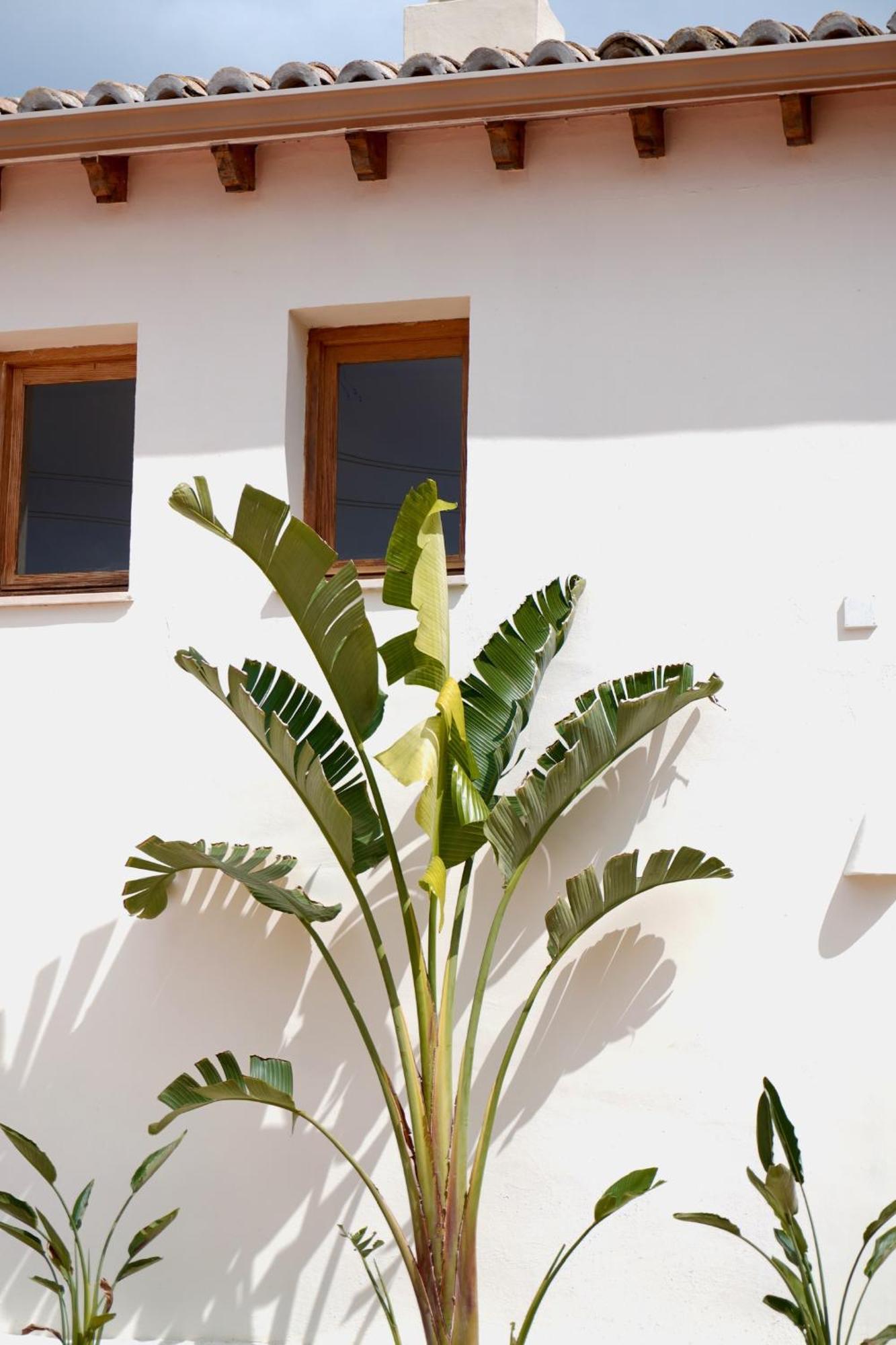 Hotel Finca Olivar Benissa Kültér fotó